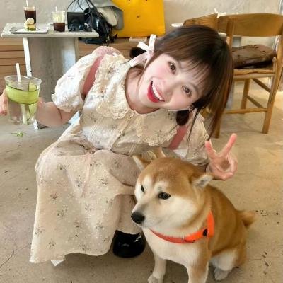 我爱看美眉